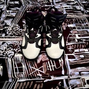 Jordan 6 Cool Grey and Black